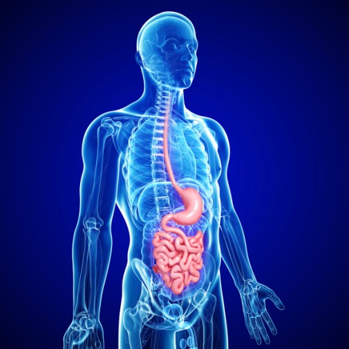 Barrett’s esophagus: The hidden link to cancer