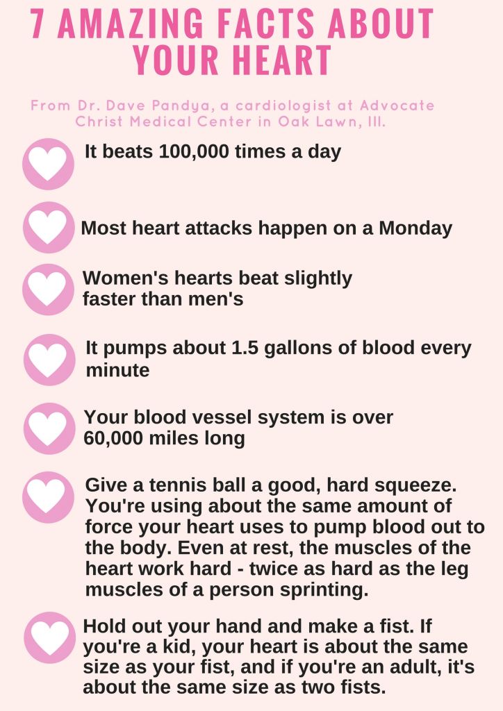 7 amazing facts about your heart | health enews