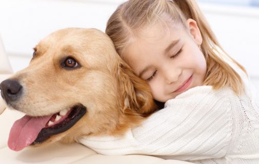 Did you know therapy dogs are used for this?