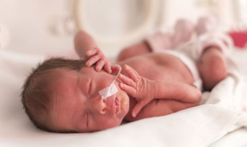 Tiny but mighty babies provide a whole new meaning to life