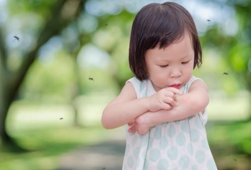 5 simple remedies to treat mosquito bites