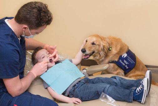 Furry friends at the dentist?