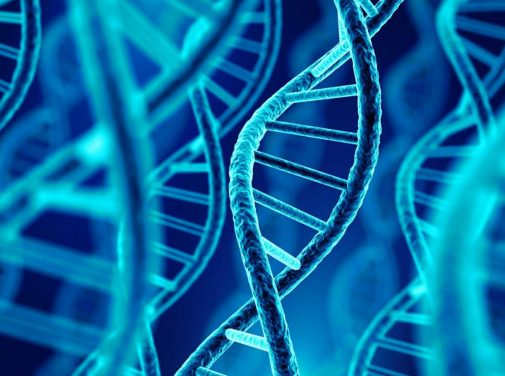 Your genetics hold an untold story