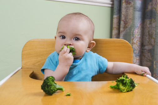 What should your baby's first foods be?